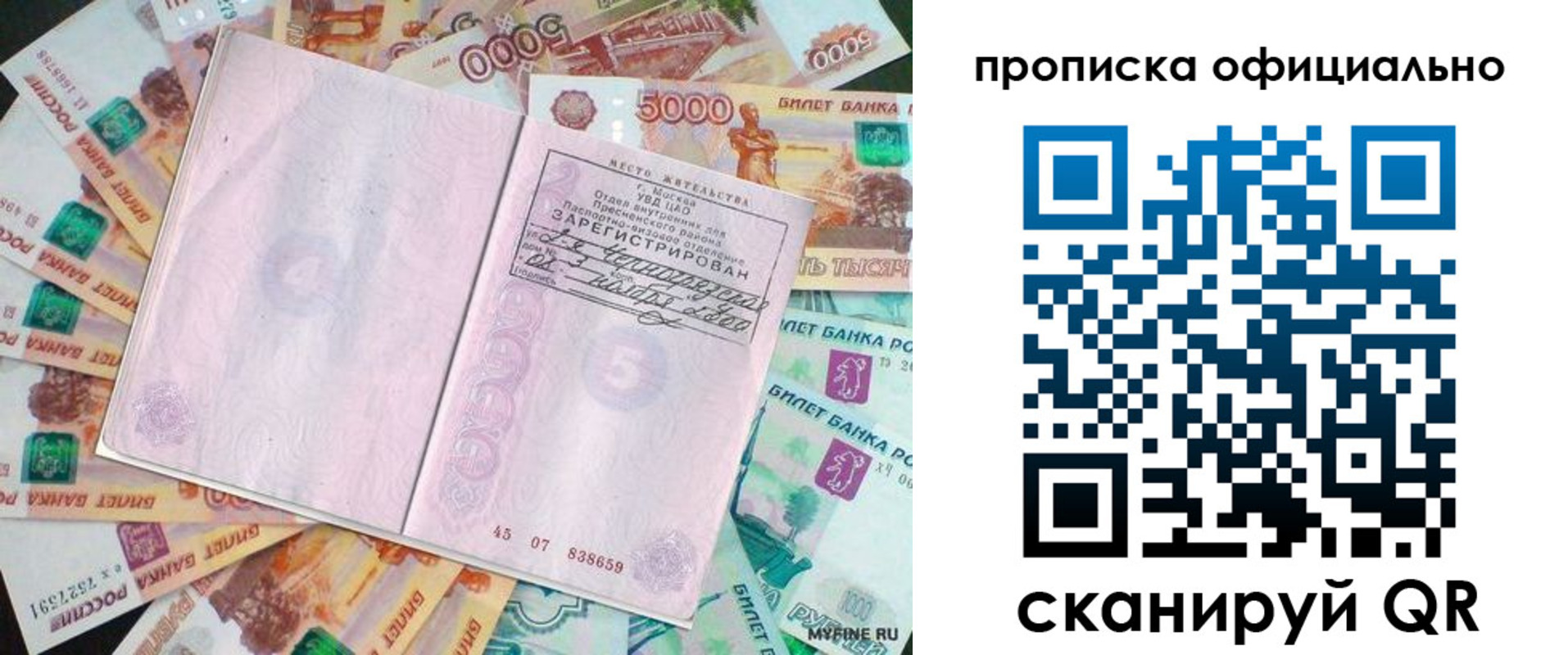 прописка поиск в Хотьково